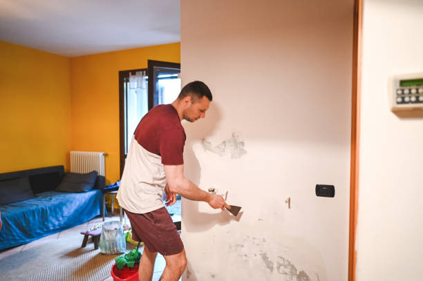 Berryville, AR Mold Removal Company